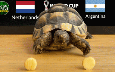 Thần Rùa dự đoán kết quả Argentina vs Hà Lan: Nỗi buồn của Messi?