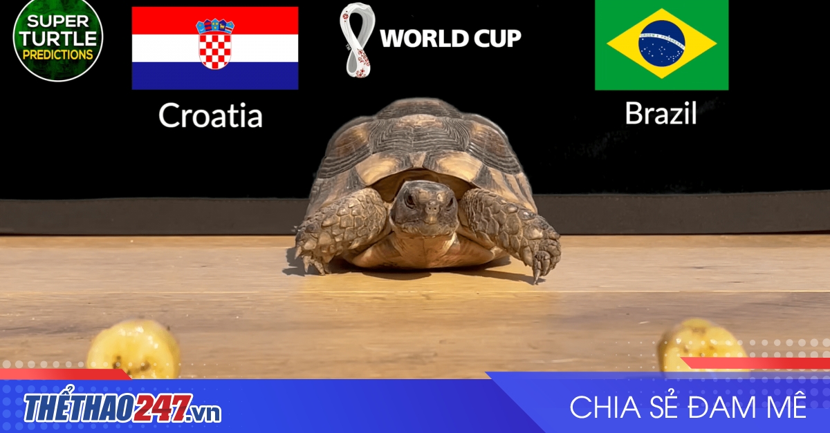 Th N R A D O N K T Qu Tr N Croatia Vs Brazil V I U Samba R C L A