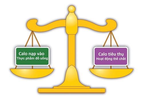 Thực đơn giảm cân ngon miệng hiệu quả tức thì trong 7 ngày