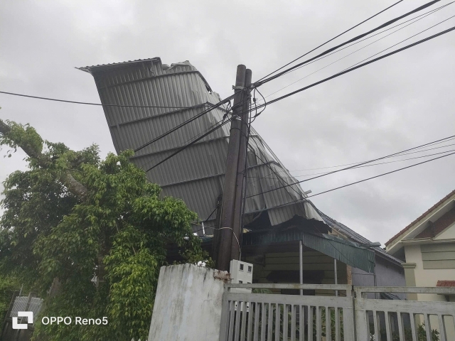 Siêu bão Yagi tiến gần vào đất liền: Thái Bình cây cối đổ rạp, Quảng Ninh bật gốc trụ điện 524215Siêu bão Yagi tiến gần vào đất liền: Thái Bình cây cối đổ rạp, Quảng Ninh bật gốc trụ điện 524215