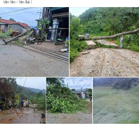 Siêu bão Yagi tiến gần vào đất liền: Thái Bình cây cối đổ rạp, Quảng Ninh bật gốc trụ điện 524217Siêu bão Yagi tiến gần vào đất liền: Thái Bình cây cối đổ rạp, Quảng Ninh bật gốc trụ điện 524217