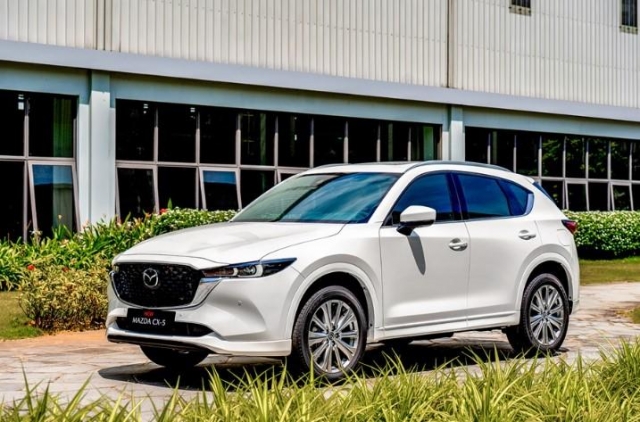 Xe gầm cao áp đảo thị trường ô tô Việt Nam tháng 4/2025 636516