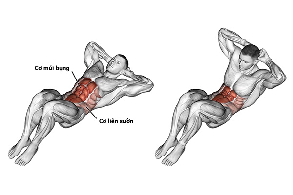 Tập bụng có tác dụng gì? Tất cả những gì bạn cần biết để sở hữu cơ bụng săn chắc