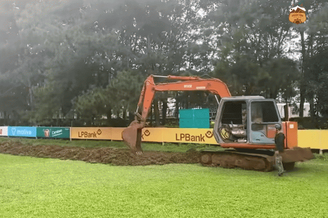 Toàn bộ mặt cỏ lá gừng sẽ được thay thế. Ảnh: CLB