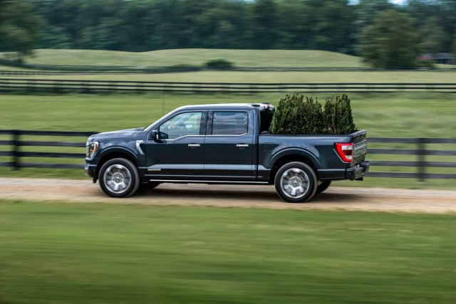 Hơn 18.000 chiếc bán tải Ford F-150