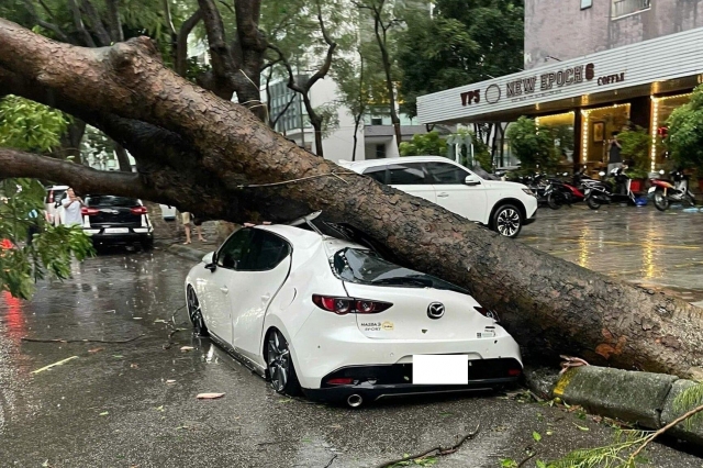 Ảnh hưởng từ siêu bão Yagi: Hà Nội nổi mưa giông lớn khiến hãng loạt ô tô, xe máy bị cây đổ đè bẹp 523949