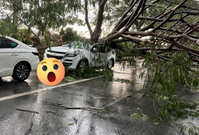 Ảnh hưởng từ siêu bão Yagi: Hà Nội nổi mưa giông lớn khiến hãng loạt ô tô, xe máy bị cây đổ đè bẹp 523951