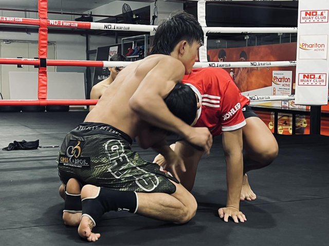 Tin thể thao 5/10: Đội tuyển bóng chuyền nữ Việt Nam bị
