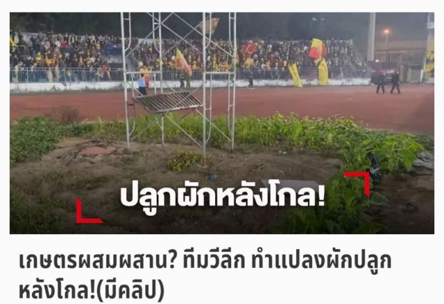 Ảnh 1