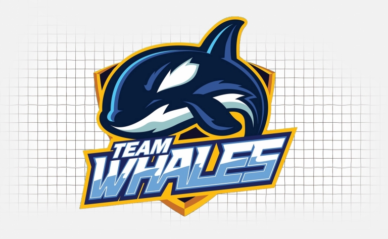 Team Whales: ‘Vị trí thấp nhất của đội là nằm trong top 4 VCS’ 161066