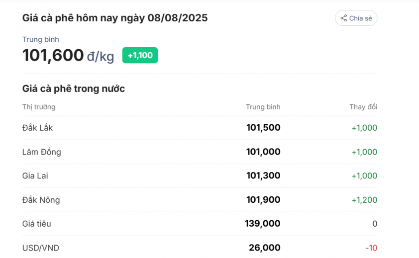 Giá cà phê ngày 8/8/2025: Sắc xanh bao phủ toàn thị trường 680529