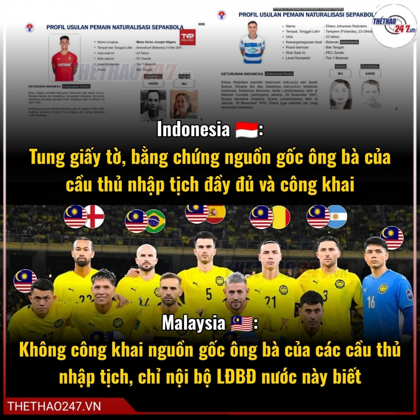 7 cầu thủ 'nhập tịch lậu' của Malaysia giờ ra sao?-748459