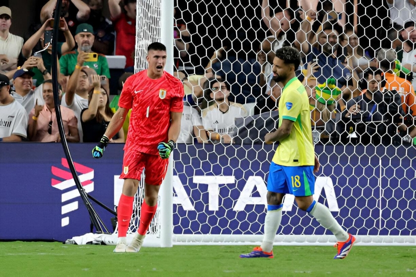 Bỏ mặc HLV, Brazil khiến tất cả 'ngã ngửa' tại Copa America 2024 494498