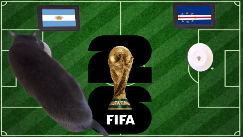 Mèo tiên tri dự đoán Argentina vs Cape Verde: Chuẩn không cần chỉnh! 861525