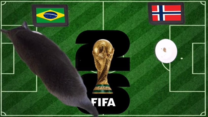 Mèo tiên tri dự đoán Brazil vs Na Uy: Đã rõ đội đi tiếp! 862301