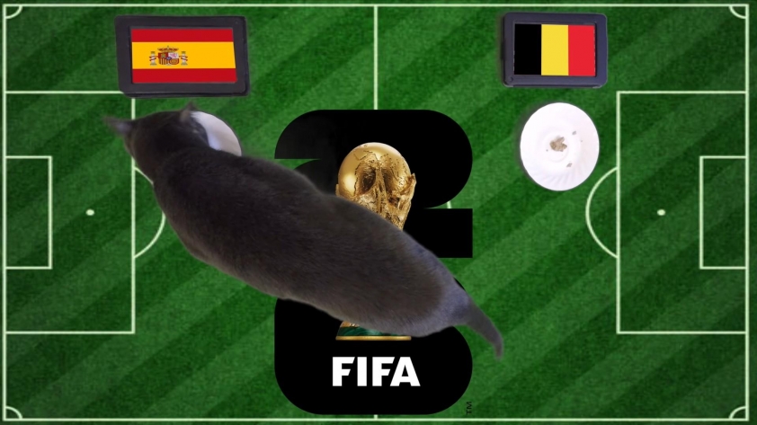 Mèo tiên tri dự đoán Tây Ban Nha vs Bỉ: Đã rõ đội thắng - World Cup 2026 864520