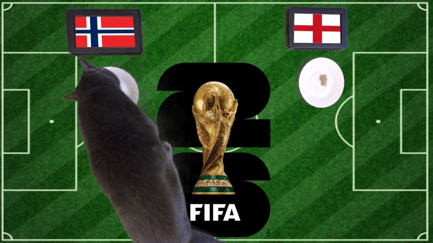 Mèo tiên tri dự đoán Na Uy vs Anh: Địa chấn khó tin - World Cup 2026 865458