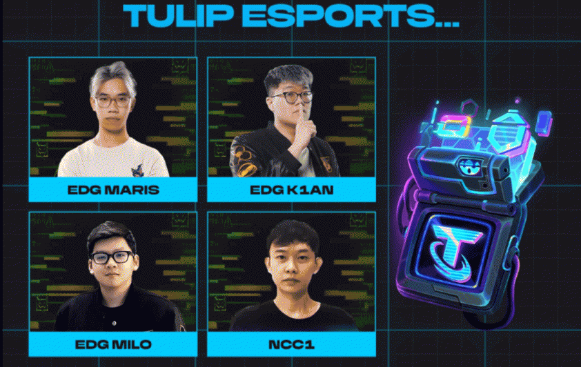 4 tuyển thủ Việt Nam góp mặt tại Esports World Cup 2025 623700