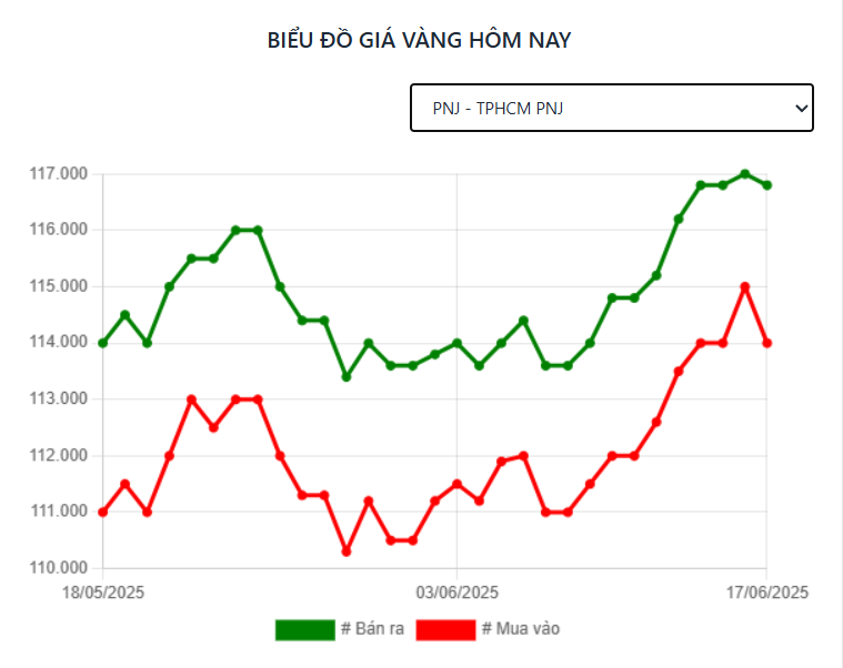 Giá vàng hôm nay trưa 17/6 PNJ bất ngờ lao dốc 651235