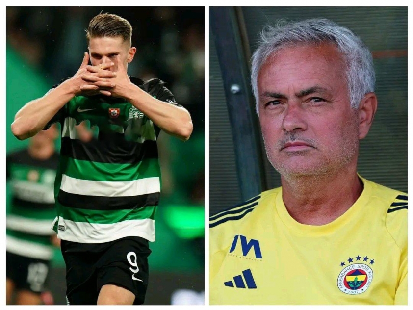 Tân binh Viktor Gyokeres của Arsenal: Trung phong toàn diện 671150