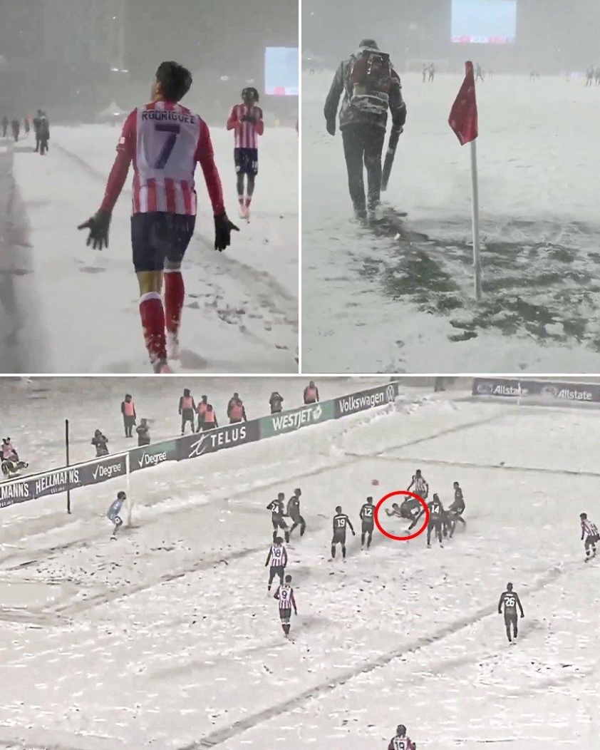 Thường Châu tuyết trắng phiên bản Canada - siêu phẩm xe đạp chổng ngược giúp Ottawa vô địch 738962