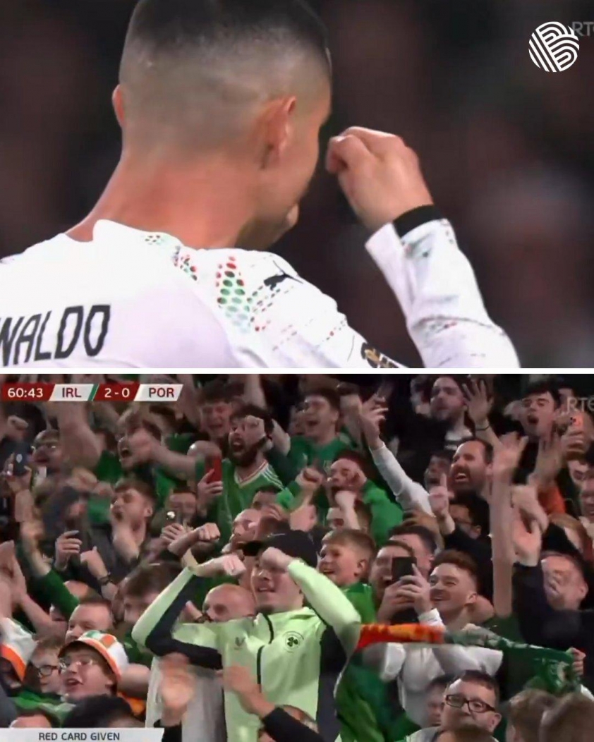 Ronaldo nhận thẻ đỏ, CĐV Ireland chế giễu với hành động 'khóc lóc' 741034
