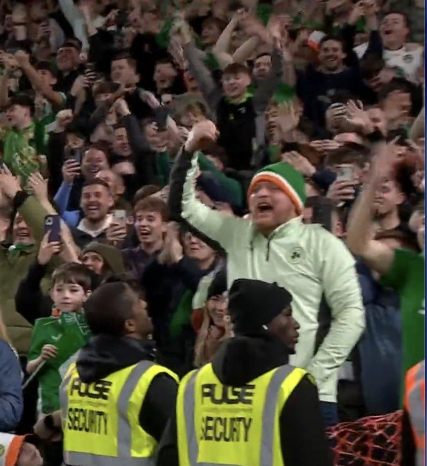 Ronaldo nhận thẻ đỏ, CĐV Ireland chế giễu với hành động 'khóc lóc' 741035