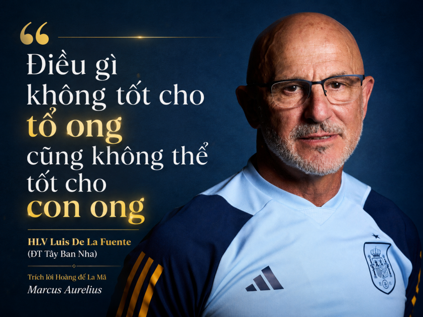 Tây Ban Nha chọn triết lý 2.000 năm làm ‘khẩu quyết’ trước trận gặp Bỉ tại World Cup 865092