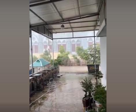 Siêu bão Yagi tiến gần vào đất liền: Thái Bình cây cối đổ rạp, Quảng Ninh bật gốc trụ điện 524214Siêu bão Yagi tiến gần vào đất liền: Thái Bình cây cối đổ rạp, Quảng Ninh bật gốc trụ điện 524214