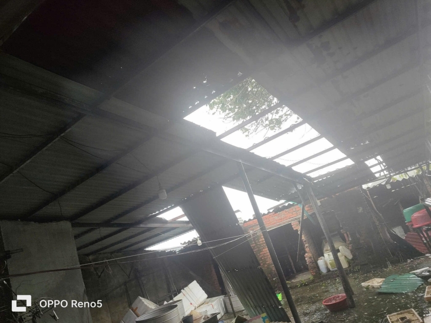 Siêu bão Yagi tiến gần vào đất liền: Thái Bình cây cối đổ rạp, Quảng Ninh bật gốc trụ điện 524216Siêu bão Yagi tiến gần vào đất liền: Thái Bình cây cối đổ rạp, Quảng Ninh bật gốc trụ điện 524216