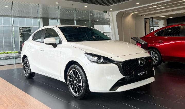 Xe gầm cao áp đảo thị trường ô tô Việt Nam tháng 4/2025 636517