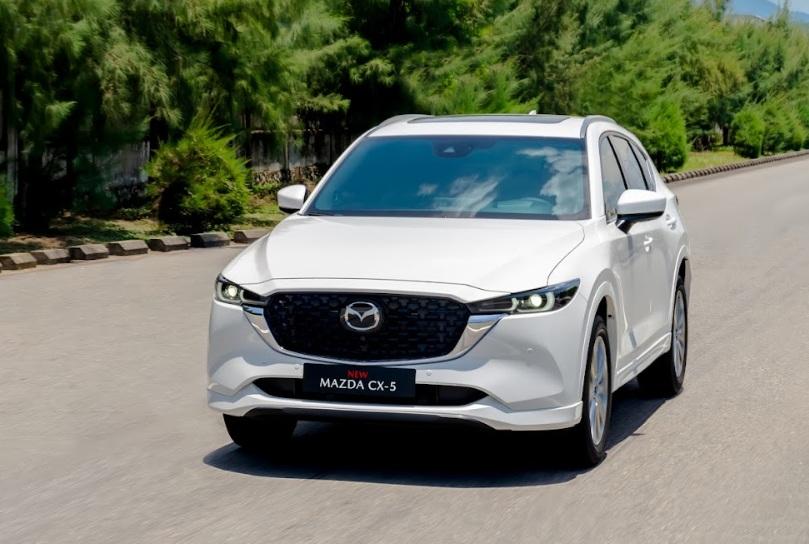 Doanh số ô tô tháng 5/2025: Xe điện lên ngôi, Ford Territory vượt mặt Mazda CX-5 648890