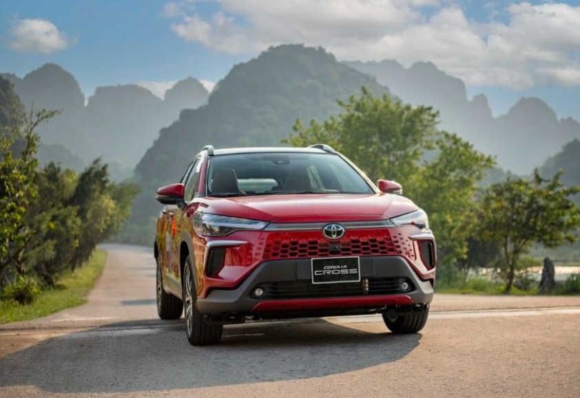 Doanh số ô tô tháng 5/2025: Xe điện lên ngôi, Ford Territory vượt mặt Mazda CX-5 648894