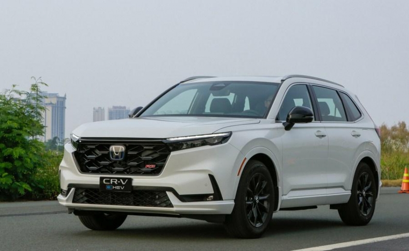 Toyota thống trị bảng xếp hạng xe hybrid tháng 6, Suzuki âm thầm vươn lên 664262
