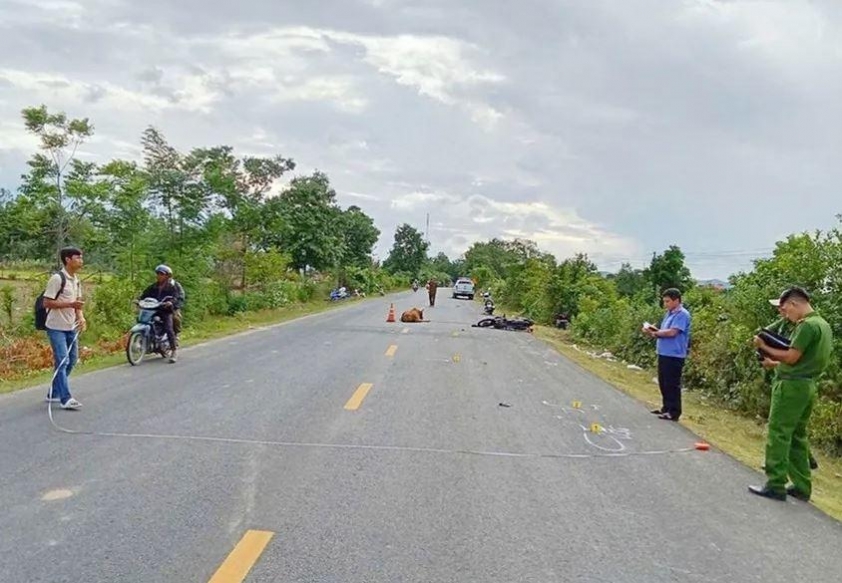 Gia Lai: Xe máy tông trúng bò, thanh niên tử vong tại chỗ 670451