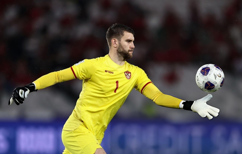 toolxox.com-final-pizArToDxC