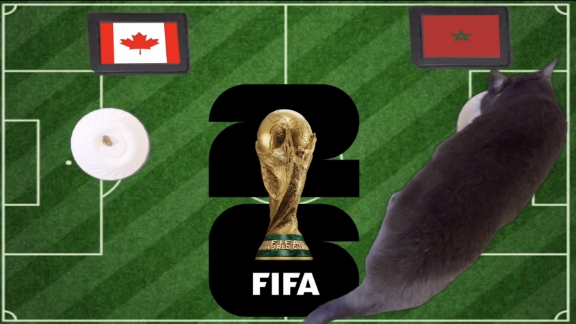 Mèo tiên tri dự đoán Canada vs Morocco, 0h00 ngày 5/7 862019
