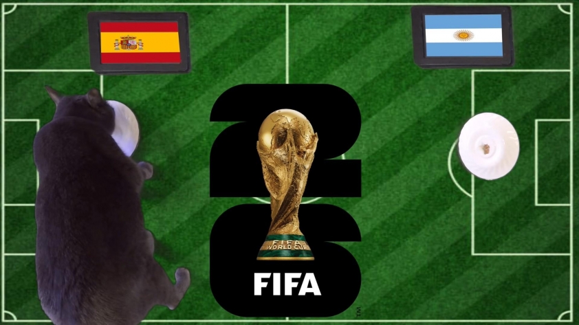 Mèo tiên tri dự đoán Tây Ban Nha vs Argentina, 2h00 ngày 20/7 868509