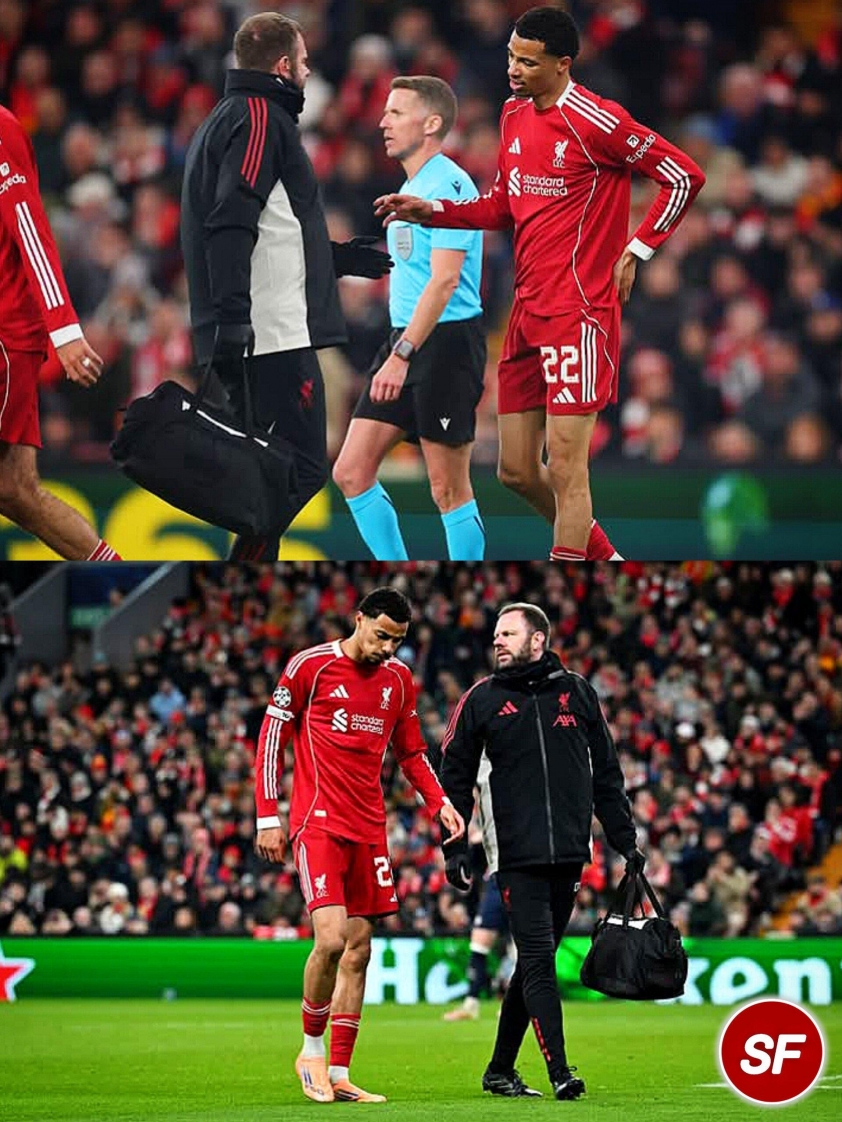 Ekitike rời sân sau hơn 60 phút thi đấu vì chấn thương (Ảnh: Scousersfamily).