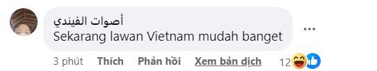 CĐV Đông Nam Á nói lời thật lòng về trận Việt Nam thua 0-5 Indonesia 492172
