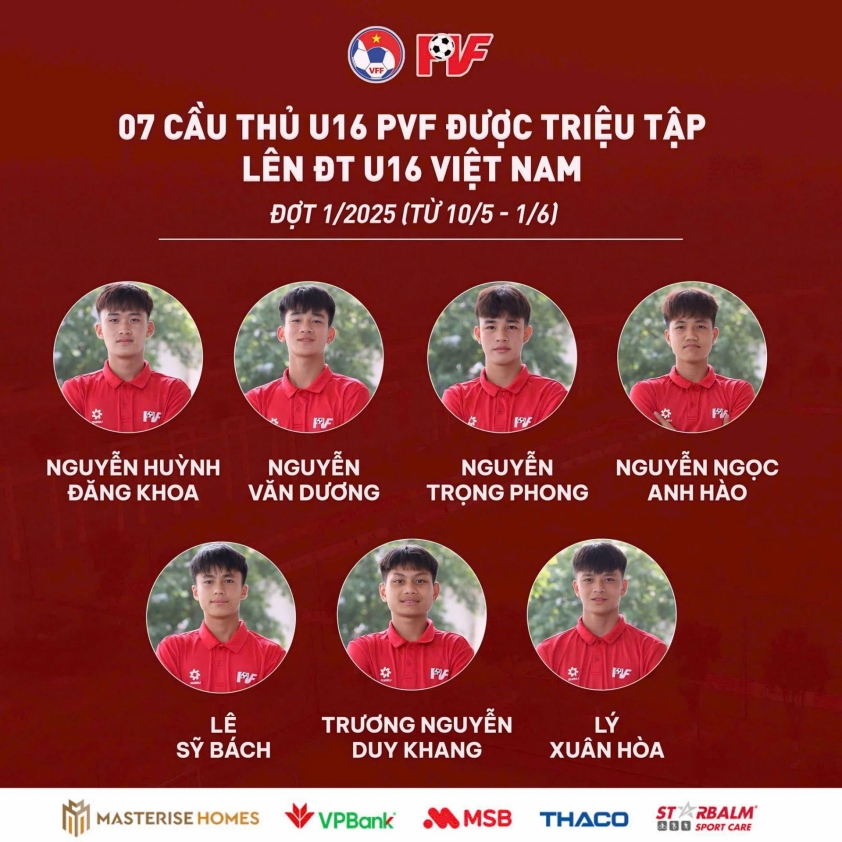 Xác định 7 cầu thủ mới nhất lên tuyển Việt Nam 631568