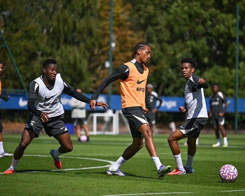 joao-pedro-chelsea