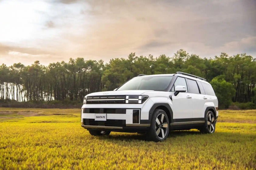 Hyundai-Santafe-White-Rung-29_result