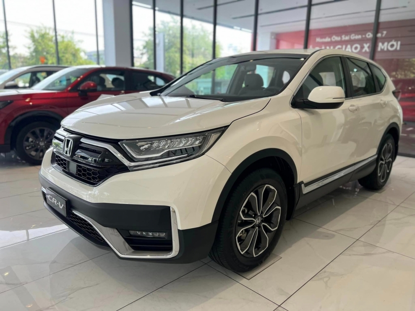 crv-2023-169907859968743247795-1