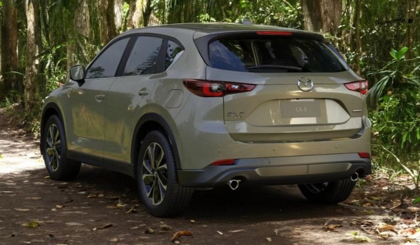 cx-5-3