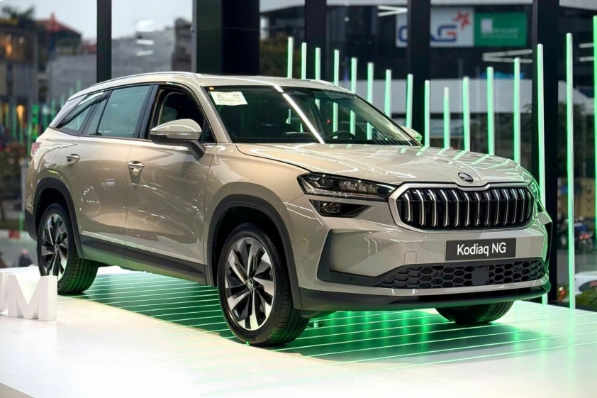 kodiaq-2-1746403618899-174640361