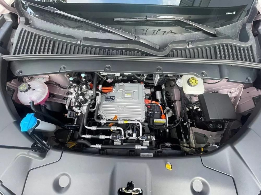 BYD Atto 2 4