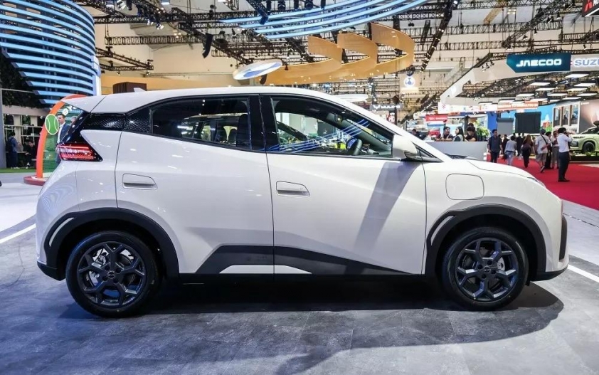 BYD Atto 1 5