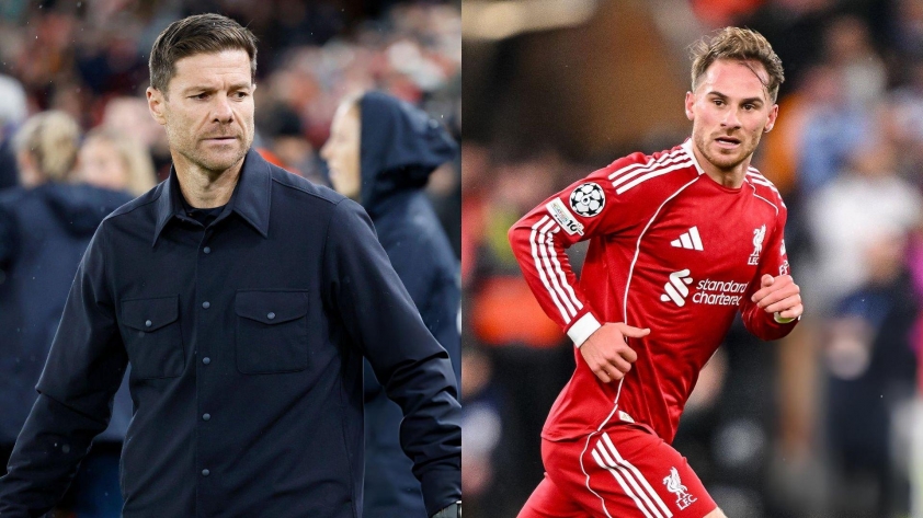 Sau thất bại trước Liverpool, Alonso lên kế hoạch chiêu mộ 3 'máy quét' EPL 4 Thua đau Liverpool, Alonso quyết chiêu mộ 3 'máy quét' Ngoại hạng Anh 736732