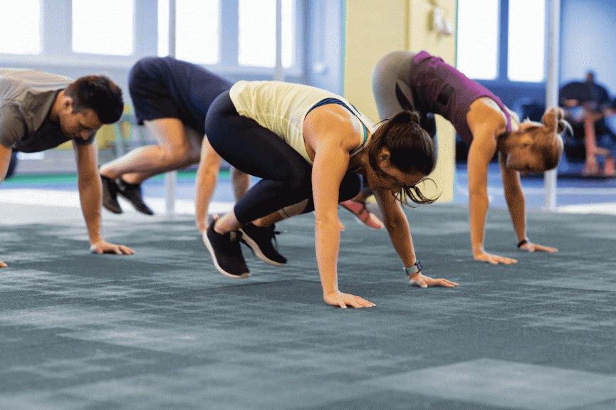Burpee